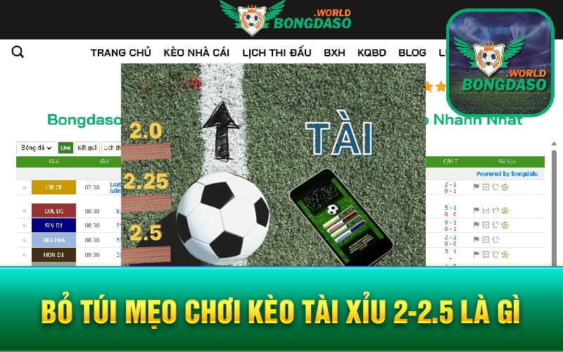 Bỏ túi mẹo chơi Kèo tài xỉu 2-2.5 là gì