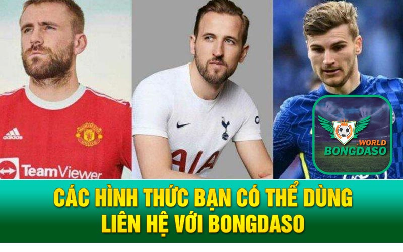 Các hình thức bạn có thể dùng liên hệ với Bongdaso