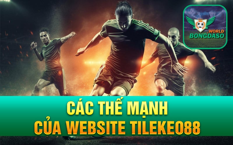 Các thế mạnh của website Tilekeo88