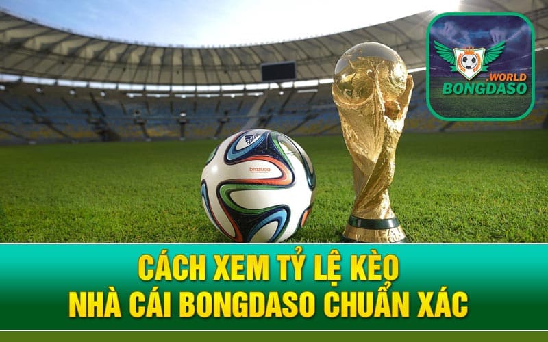 Cách xem tỷ lệ kèo nhà cái Bongdaso chuẩn xác