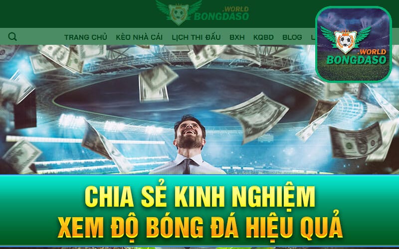 Chia sẻ kinh nghiệm xem độ bóng đá hiệu quả
