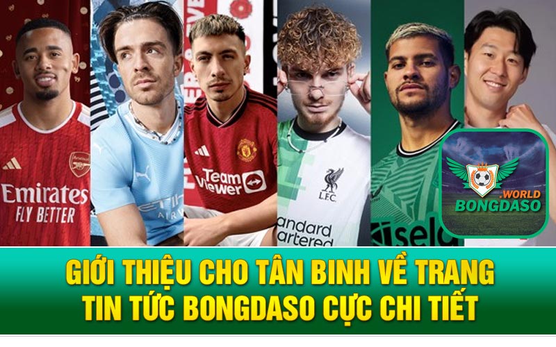 Giới Thiệu Cho Tân Binh Về Trang Tin Tức Bongdaso Cực Chi Tiết