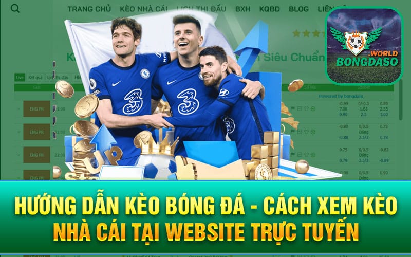 Hướng dẫn kèo bóng đá - cách xem kèo nhà cái tại website trực tuyến
