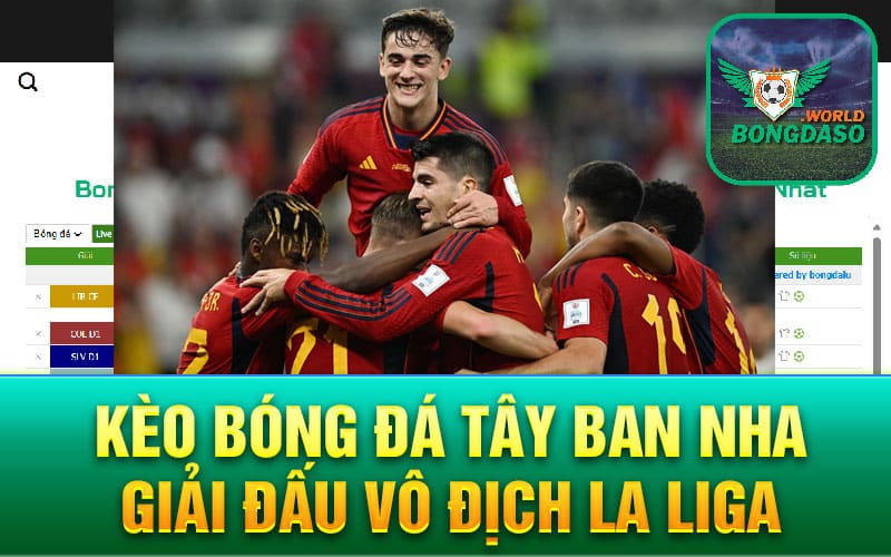 Kèo bóng đá Tây Ban Nha giải đấu vô địch La Liga
