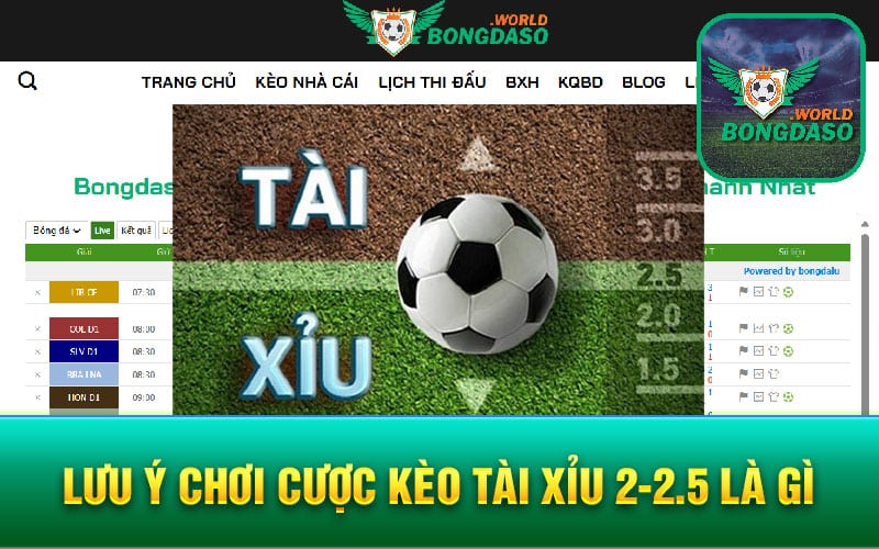 Lưu ý chơi cược Kèo tài xỉu 2-2.5 là gì
