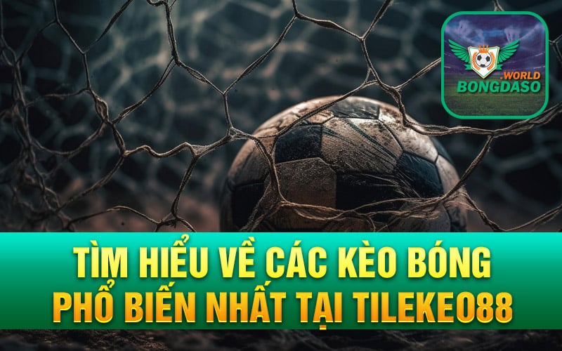 Tìm hiểu về các kèo bóng phổ biến nhất tại Tilekeo88