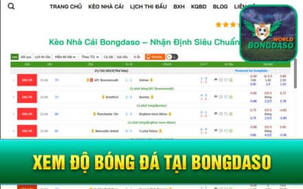 Xem Độ Bóng Đá Tại BONGDASO